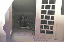 CreatureCantina.com Image