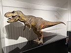 CreatureCantina.com Image