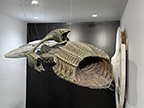 CreatureCantina.com Image