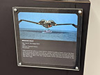 CreatureCantina.com Image
