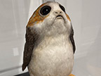 CreatureCantina.com Image