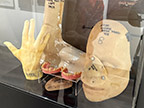 CreatureCantina.com Image