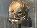 CreatureCantina.com Image
